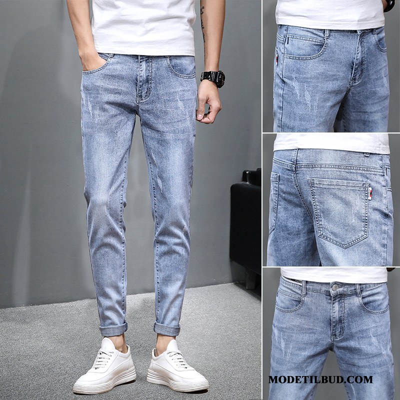 Herre Jeans Billige Slim Fit Elastik Bukser Trendy Mænd Lyse Blå
