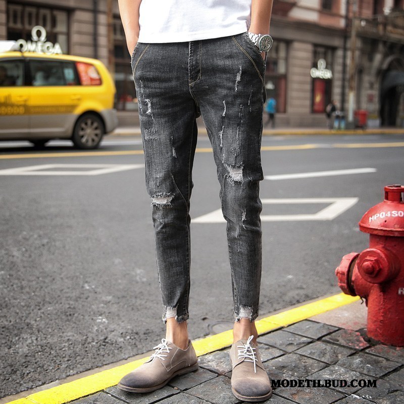 Herre Jeans Online Simple Forår Trend Lille Sektion Bukser Sort Blå