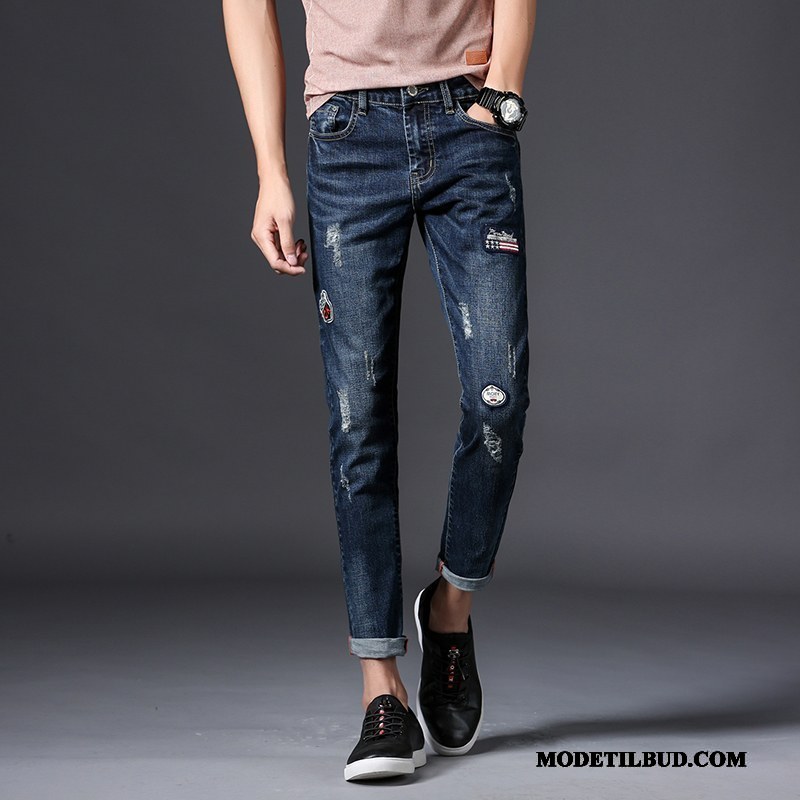 Herre Jeans Online Slim Fit Elastik Med Huller Bukser Trend Cyan Blå