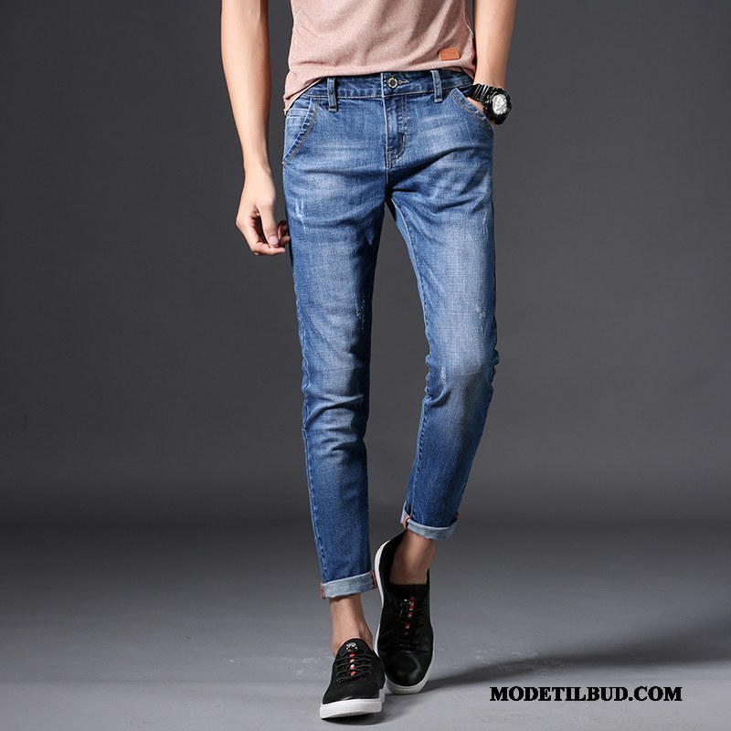 Herre Jeans Online Slim Fit Elastik Med Huller Bukser Trend Cyan Blå
