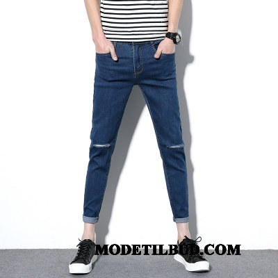 Herre Jeans Online Stretch Bukser Slim Fit Lille Sektion Cowboybukser Studerende Sort Blå