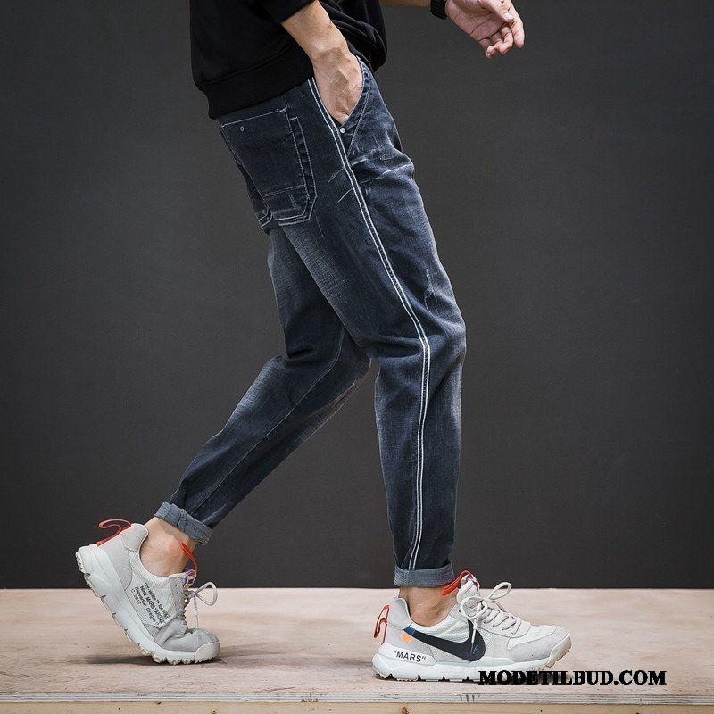 Herre Jeans På Udsalg Bukser Trend Stribede Slim Fit Lille Sektion Blå