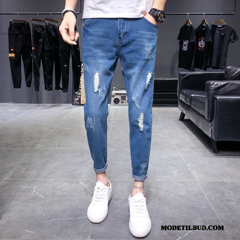 Herre Jeans Salg Brede 2019 Lige Vintage Trendy Grå