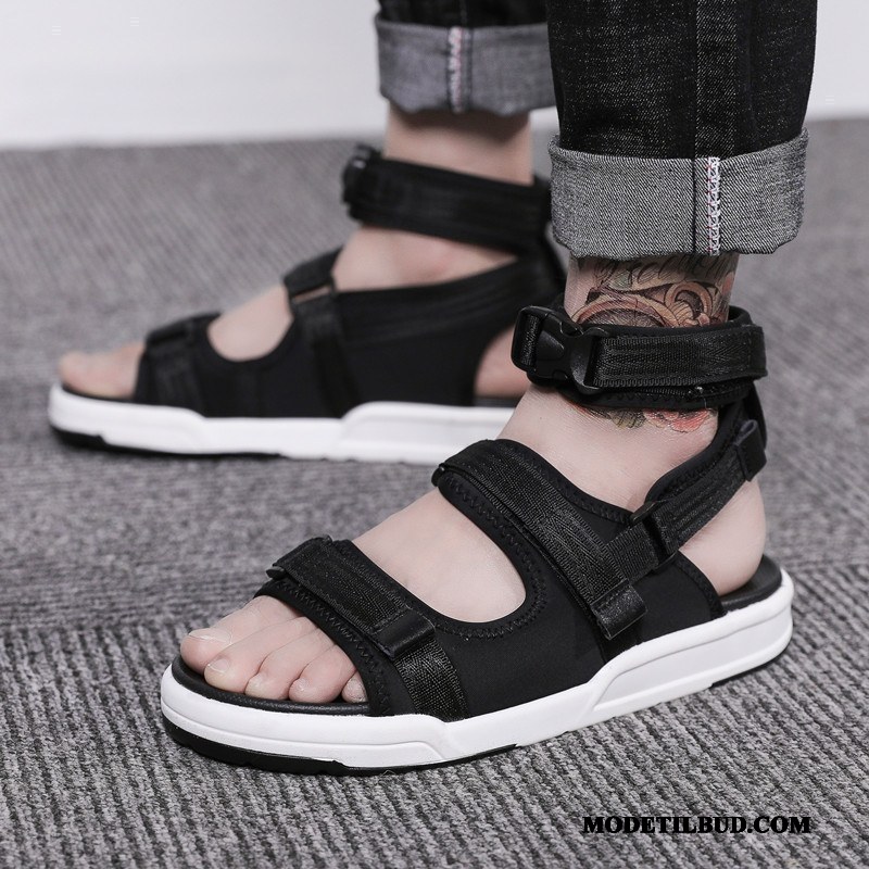 Herre Sandaler Butik Sommer Overtøj 2019 Trend Casual Fritids Sand Grå