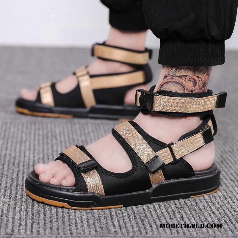 Herre Sandaler Butik Sommer Overtøj 2019 Trend Casual Fritids Sand Grå