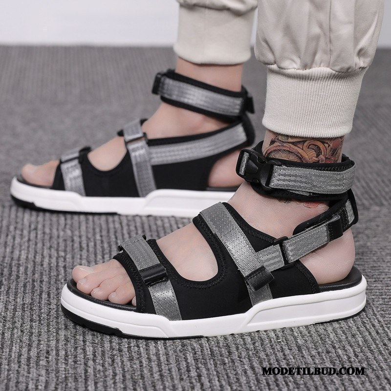 Herre Sandaler Butik Sommer Overtøj 2019 Trend Casual Fritids Sand Grå