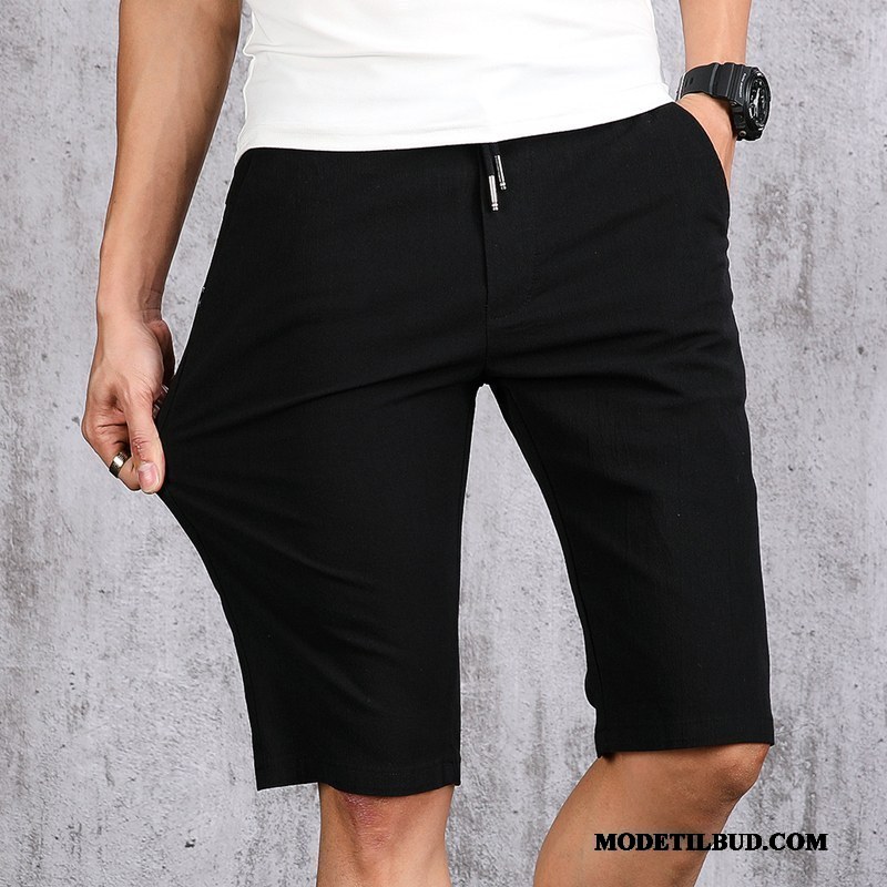 Herre Shorts Billige Elastisk Bukser Slim Fit Trend Fritids Rød