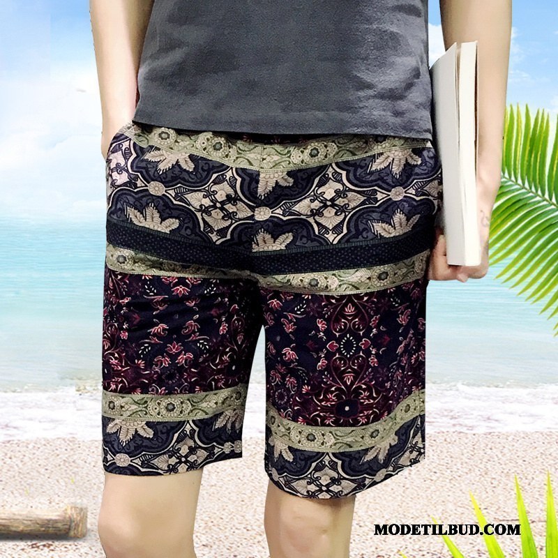 Herre Shorts Billige Stor Casual Bukser Blomster Sommer Slim Fit Sand Blå