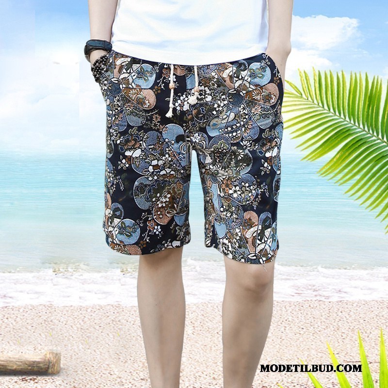 Herre Shorts Billige Stor Casual Bukser Blomster Sommer Slim Fit Sand Blå