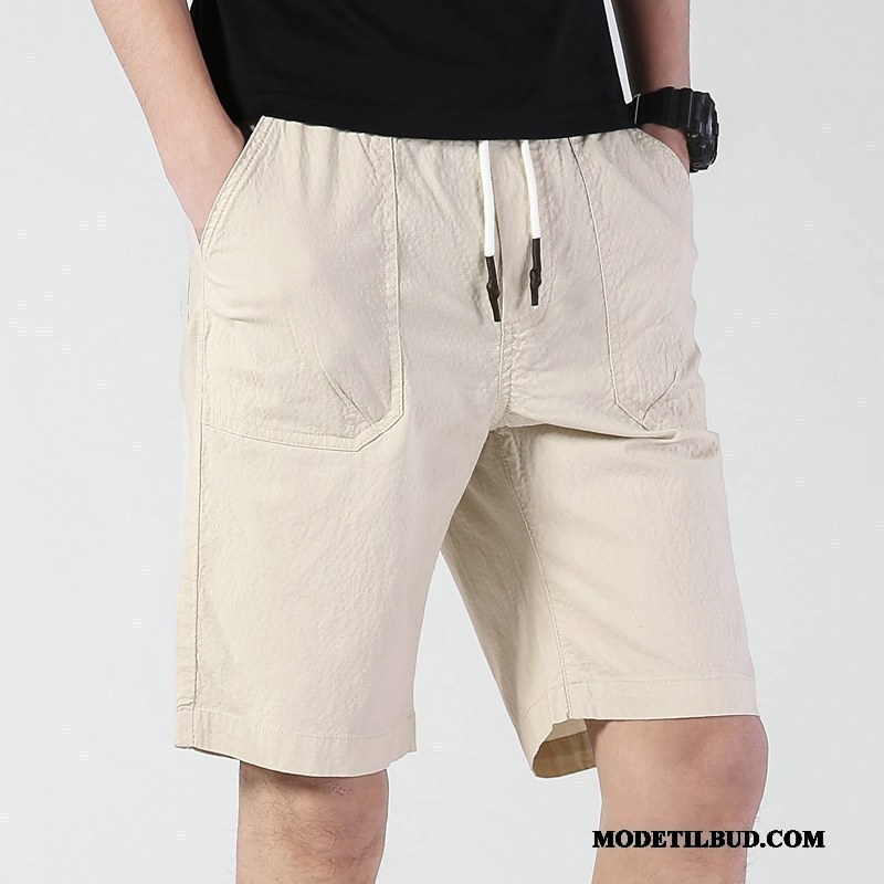 Herre Shorts Billige Trend Bomuld Sommer Fritids Mænd Sand Orange