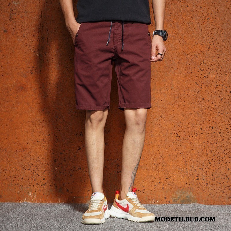 Herre Shorts Salg Stor Bomuld Slim Fit Lige Sommer Rødvin Gul Sand Orange