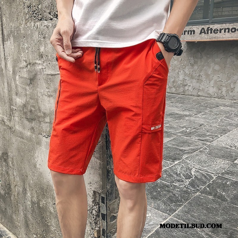 Herre Shorts Udsalg Sommer Brede Ny Fritids 2019 Sort