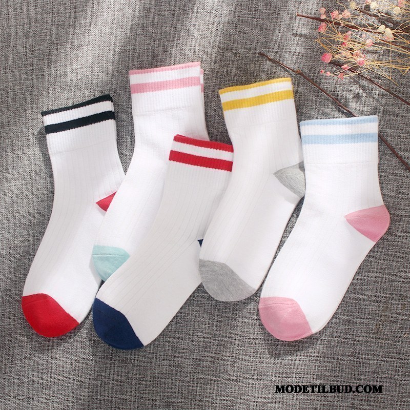 Sokker Dame Tilbud, Billige Sokker Dame Udsalg Online | Modetilbud.com
