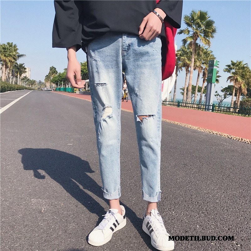Herre Jeans Billige Bukser Cigaretbukser Slim Fit Trend Sommer Blå