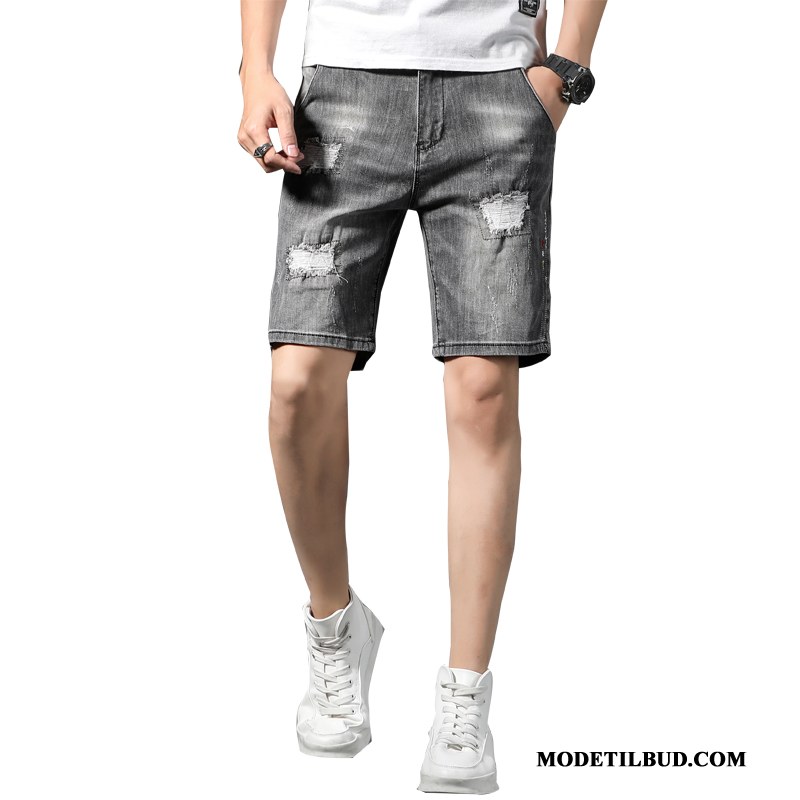 Herre Shorts Rabat Studerende Slim Fit Cowboybukser Casual Bukser Trend Sort Cyan